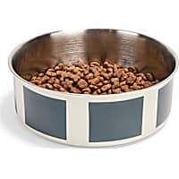 Petco Teal Striped Stainless Steel Pet Bowl