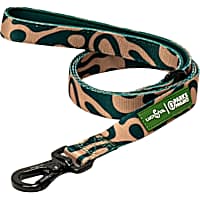 Lucy & Co. Geyser Padded Dog Leash