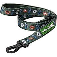 Lucy & Co. Power to the Parks Padded Dog Leash