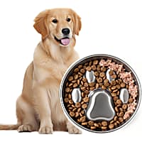 PawsPik Stainless Steel Four-Ridge Slow Feeder Dog Bowl
