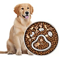 PawsPik Stainless Steel Three-Ridge Slow Feeder Dog Bowl