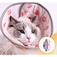 PawsPik Peach Adjustable Dog & Cat Recovery Soft-Cone