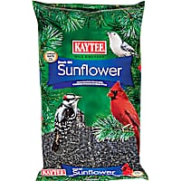 Kaytee Wild Bird Black Oil Sunflower Food