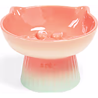 Petco Orange/Teal Gradient Raised Ceramic Slow Feeder Cat Bowl