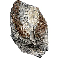 Penn Plax Seiryu Stone - Aqua Flora Naturals