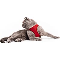 Red Dingo Cat Mesh Harness