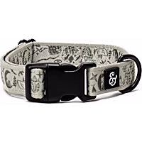 Lucy & Co. Camp Out Collar for Dogs