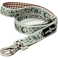 Lucy & Co. Camp Out Leash for Dogs