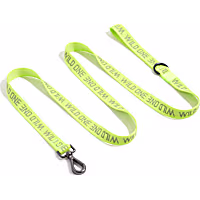 Wild One Limeade Lightweight Nylon Dog Leash