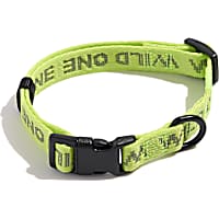 Wild One Limeade Quick-Release Dog Collar