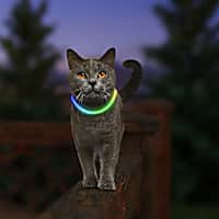 Nite Ize Meow Rechargeable LED Safety Necklace - Disc-O Select for Cats
