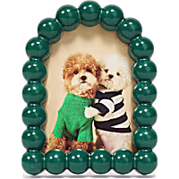 Petco Holiday Green Magnetic Picture Frame