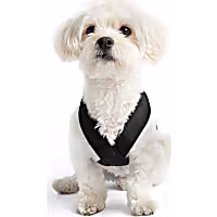 Gooby Comfort X Dual Snap Dog Harness