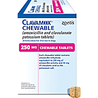 Clavamox Chew 250 mg