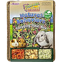 Brown's Tropical Carnival Foraging Treat Box