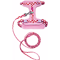 Wild One Bubblegum Colorblock Kitten Harness and Leash