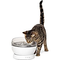 PetSafe HydroSphere Cordless Pet Fountain for Dogs
