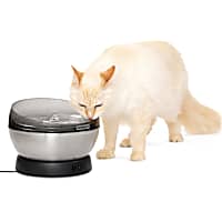 PetSafe HydroSphere Fountain for Dogs