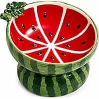 PawsPik Watermelon Elevated Angled Ceramic Pet Bowl