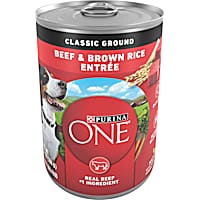 Best canned dog top food with grain