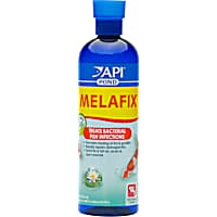 Ich treatment best sale petco