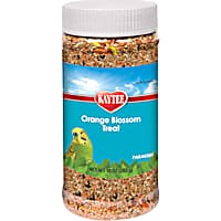 Kaytee Orange Blossom Honey Treat Jar for Parakeet