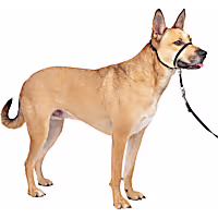 PetSafe Products Gentle Leader Headcollars