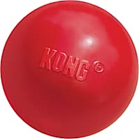 Babble ball petco sales