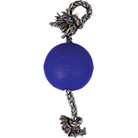 Jolly Pet Romp-n-Roll Dog Toy