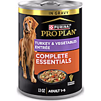 Purina Pro Plan Complete Essentials Turkey and Vegetables Entree in Wet Dog Food Gravy