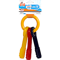 Nylabone Puppy Teething Key Chew Toys for Dog