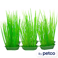Imagitarium Green Foreground Plastic Aquarium Plants