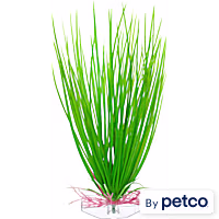 Imagitarium Green Hairgrass Plastic Aquarium Plant