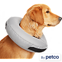 Neck cone top