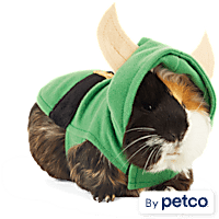 Small Animal Clothes Leashes Rabbits Guinea Pigs Petco