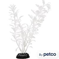 Imagitarium White Midground Ludwigia Aquarium Plant