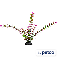 Imagitarium Purple & Green Midground Aquarium Plant