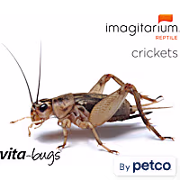 Imagitarium Vita-Bugs Crickets