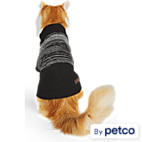 Cat clothes near me hot sale