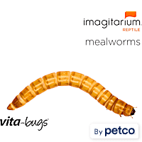 Live Mealworms & Flies: Superworms & Wax Worms, Petco