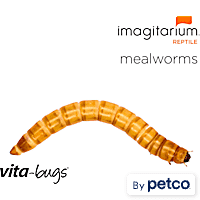 The Mealworm Company LIVEFOODS DIRECT MW1TUB Waxworms MaxiPack