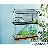 How much is a hamster cage at petco clearance