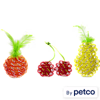 Leaps & Bounds Mesh Fruit Cat Toy in Assorted Styles