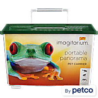 Petco crested gecko kit deals