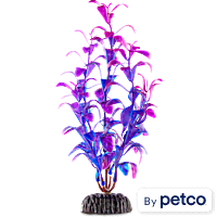 Imagitarium Purple & Blue Foreground Aquarium Plant
