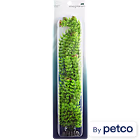 Imagitarium Ambulia Green Plant
