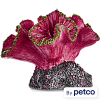 Imagitarium Coral Resin Aquarium Decor in Assorted Styles