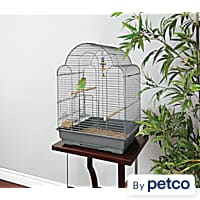 Explore Parakeet Food Cages Toys More Petco