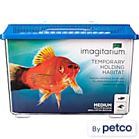 Petco 38 gallon tank top