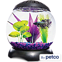 Betta Fish Tanks Aquariums Bowls Petco